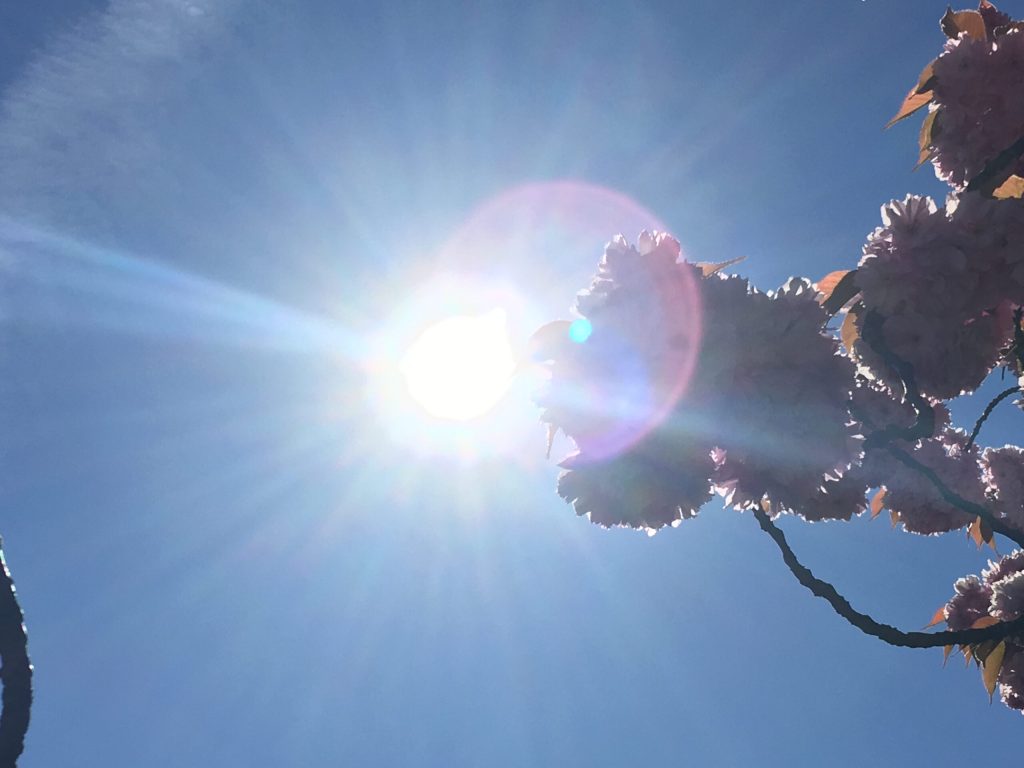 Spirituality and Writing: Connecting Within and&nbsp;Without